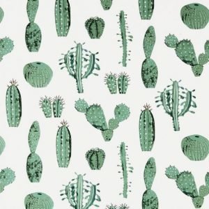 Cactus Kangas / M Valkoinen