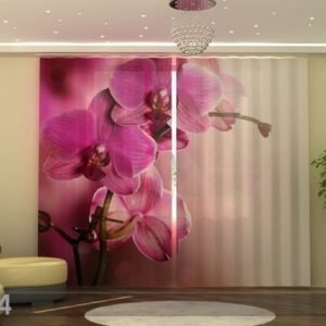 Wellmira Fotoverhot Purpl Orchid