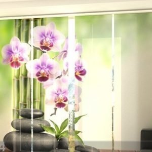 Wellmira Läpinäkyvä Paneeliverho Orchids And Stones 240x240 Cm