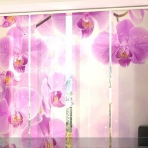 Wellmira Läpinäkyvä Paneeliverho Starry Orchid 240x240 Cm
