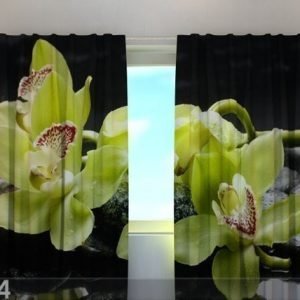 Wellmira Läpinäkyvä Verho Citreous Orchids 240x220 Cm