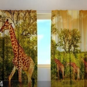 Wellmira Läpinäkyvä Verho Giraffes 240x220 Cm