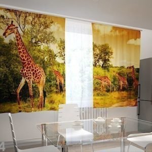 Wellmira Läpinäkyvä Verho Giraffes In The Kitchen 200x120 Cm