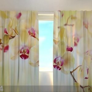 Wellmira Läpinäkyvä Verho Goldish Orchids 240x220 Cm