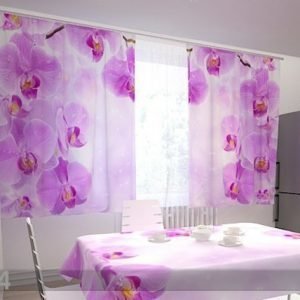 Wellmira Läpinäkyvä Verho Kitchen In Orchids 200x120 Cm