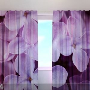 Wellmira Läpinäkyvä Verho Lilac 240x220 Cm