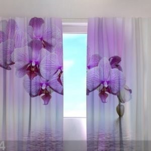 Wellmira Läpinäkyvä Verho Lilac Beauty 240x220 Cm