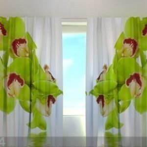 Wellmira Läpinäkyvä Verho Lime Coloured Orchid 240x220 Cm