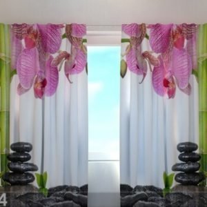 Wellmira Läpinäkyvä Verho Orchids And Bamboo 240x220 Cm