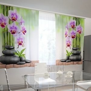Wellmira Läpinäkyvä Verho Orchids And Stones In The Kitchen 200x120 Cm