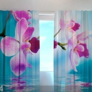 Wellmira Läpinäkyvä Verho Skyblue Orchids 240x220 Cm