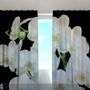 Wellmira Läpinäkyvä Verho Yin Yang Orchid 240x220 Cm