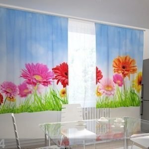 Wellmira Pimentävä Verho Bright Gerberas In The Kitchen 200x210 Cm