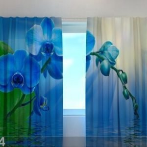Wellmira Pimentävä Verho Orchid 240x220 Cm