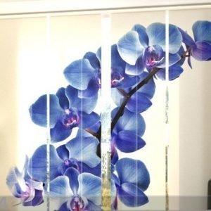 Wellmira Puolipimentävä Paneeliverho Blue Orchids 240x240 Cm