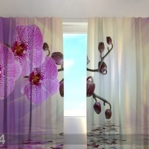 Wellmira Puolipimentävä Verho Lilaceous Orchid 240x220 Cm