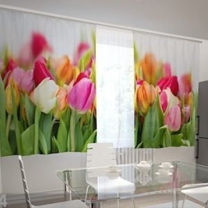 Wellmira Puolipimentävä Verho Tulips In The Kitchen 200x120 Cm