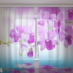 Wellmira Sifonki-Kuvaverho Orchid Vivian 240x220 Cm